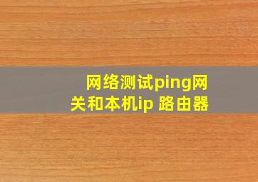 网络测试ping网关和本机ip 路由器